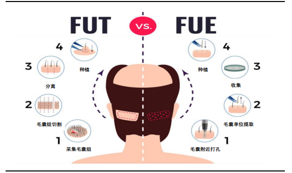 资料来源：美丝医学官网，东吴证券研究所