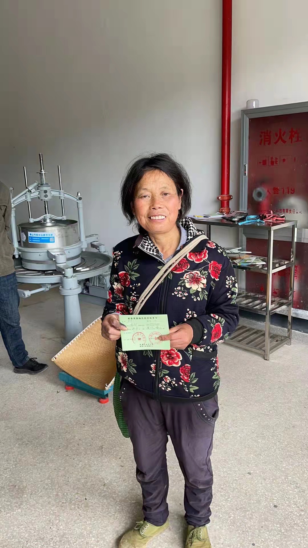 黄山毛峰品牌排行_黄山迎来采茶旺季,小偷借机盗窃价值万余元的“黄山毛峰”