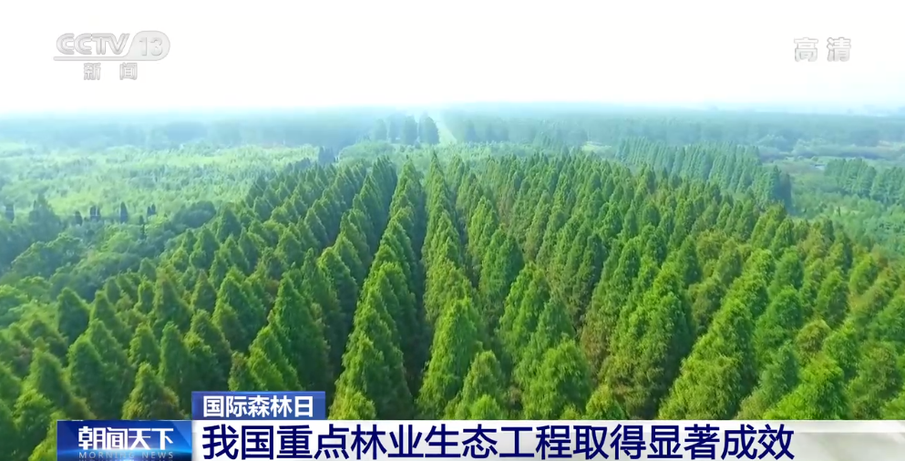我国重点林业生态工程取得显著成效|林业_新浪财经_新浪网