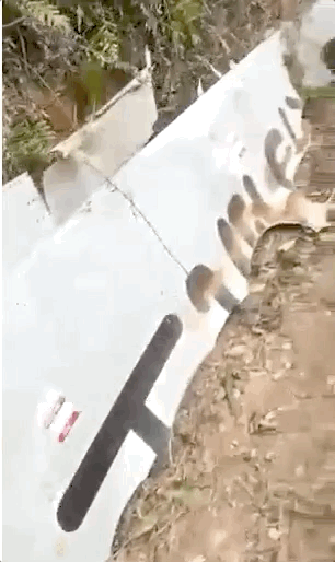 疑似东航坠毁客机残骸  图片来源：@人民日报 视频截图