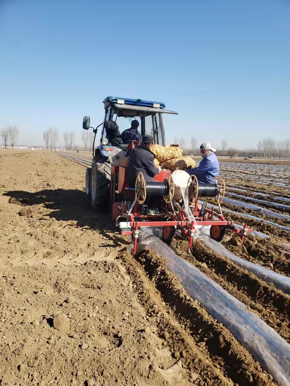 魏善庄镇加强与企业对接,同公司签订2000亩马铃薯种植合同,相当于土豆