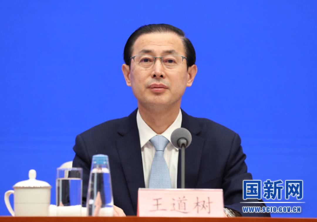 国家税务总局副局长王道树(图片来源:国新网)