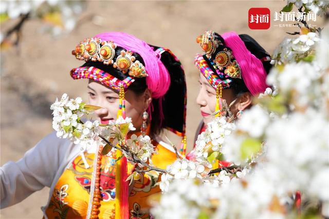 梨花下的丹巴姑娘 摄影:李永安
