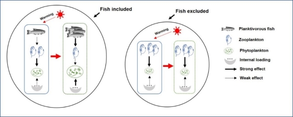 图2：实验对湖泊管理的启示（鱼类调控能够减缓气候变暖对湖泊生态系统的负面效应）
