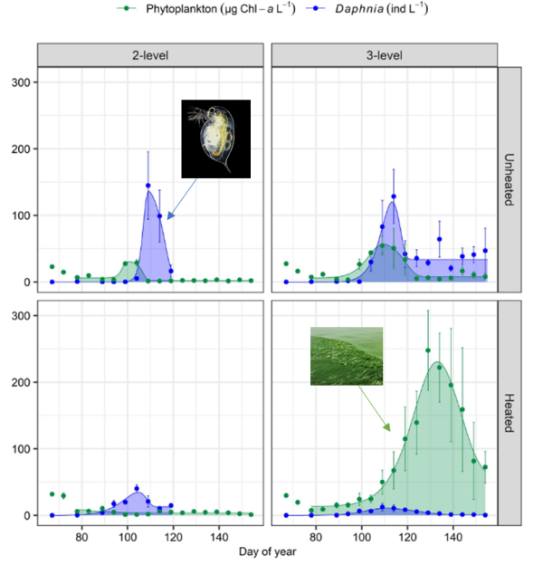 图3：浮游动物关键属-溞（Daphnia）和浮游植物的春季物候对增温的响应（基于亚热带气候）