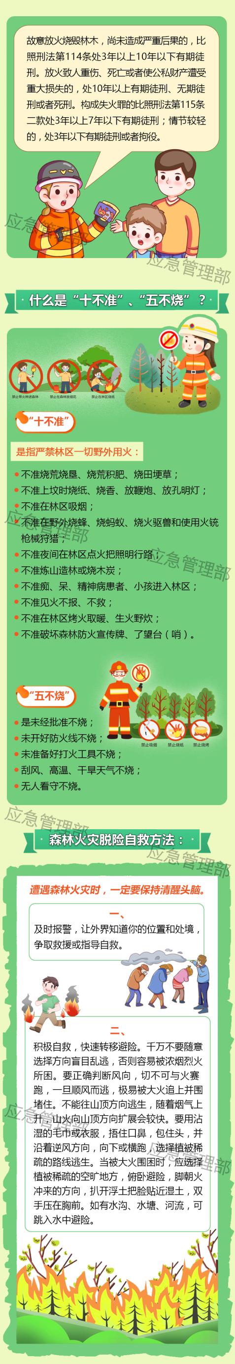 森林草原防火季橙色预警这些森林防火知识要掌握