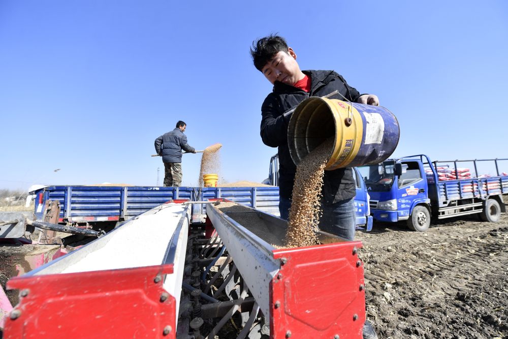 河北文安:粮食作物生产基本实现全程机械化|农民_新浪财经_新浪网