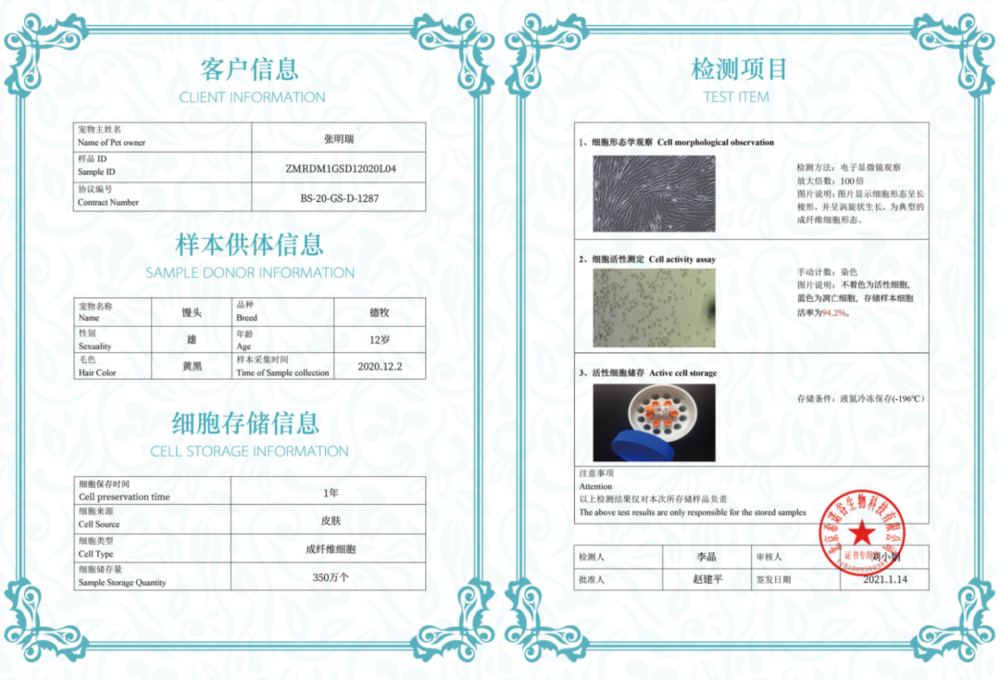 宠物去世后你会选择克隆还是安葬