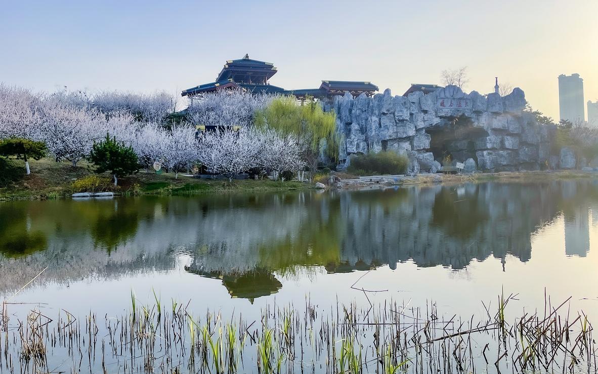 阳春三月,江苏邳州桃花岛公园花红柳绿,绿草茵茵,美景醉人.
