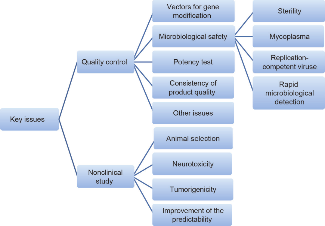 图2 CAR-T细胞治疗质量控制与非临床研究关键问题的结构示意图