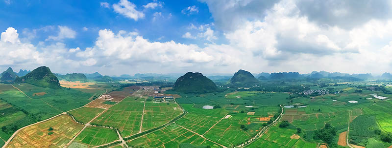 崇左市江州区委宣传部供图