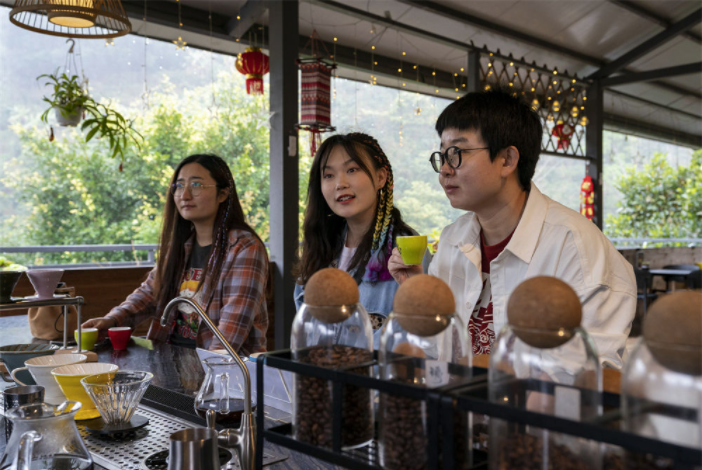 游客在云南普洱市思茅区小凹子咖啡庄园内品尝咖啡(2月22日摄).