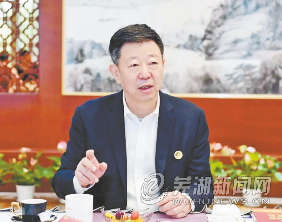 图为安徽海螺集团有限责任公司董事长 王诚