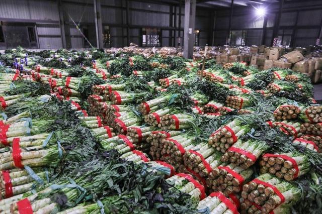 浦东火速启用应急保供大仓 集采集配新模式保障"菜篮子"供应充足|农产