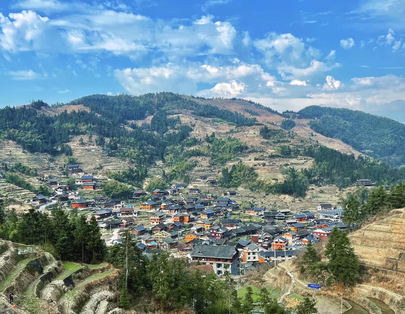 文旅助力,让紫鹊界梯田留住"世界远古乡愁"