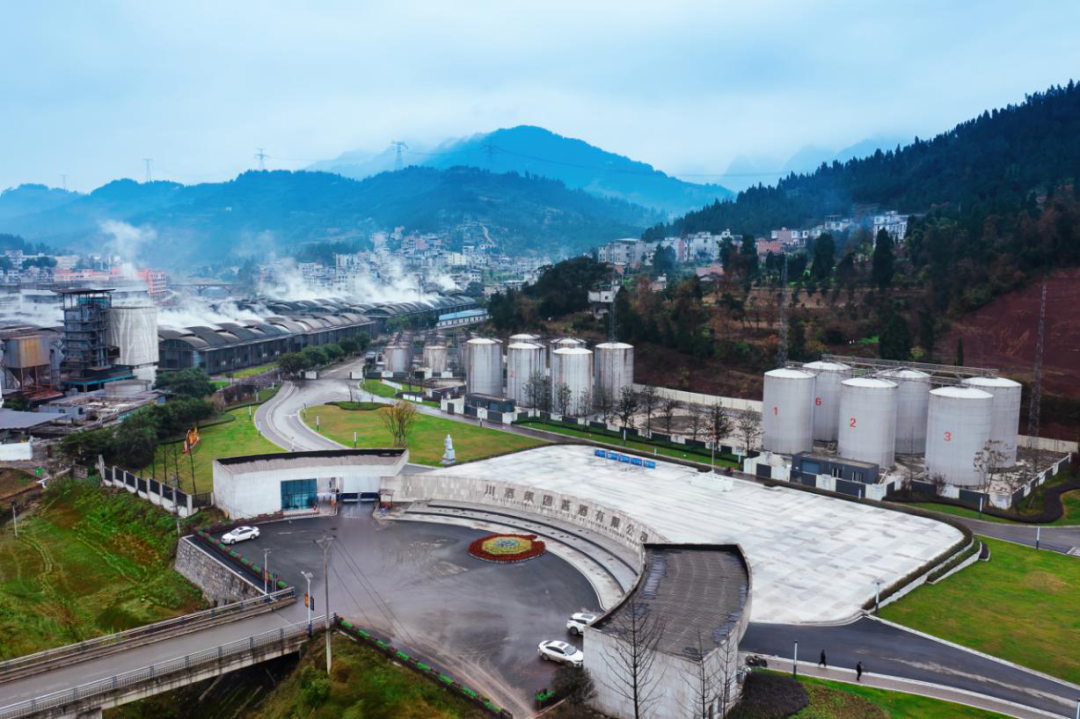 川酒集团荣获四川十大领军企业称号