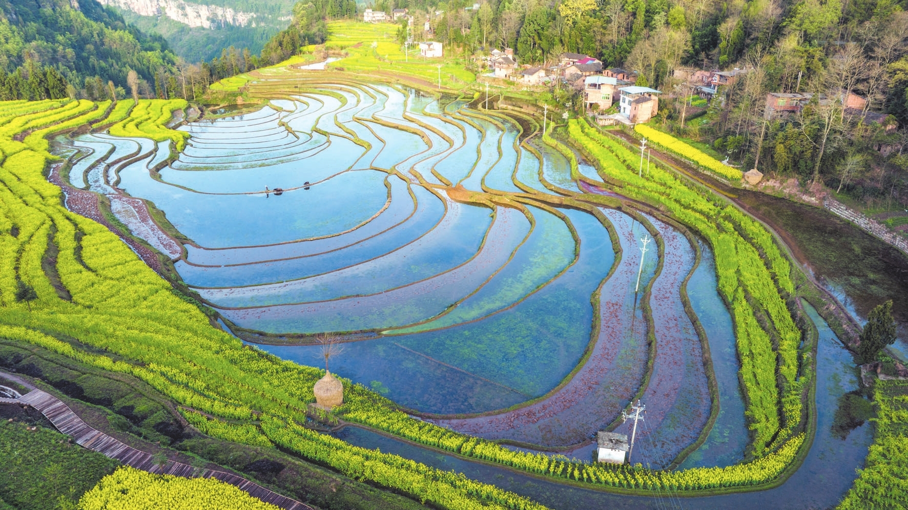 春天让每一寸耕地都实至名归