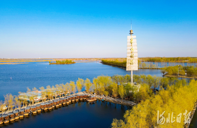 2022年3月27日,春日里的安新县白洋淀旅游码头. 河北日报记者赵海江摄