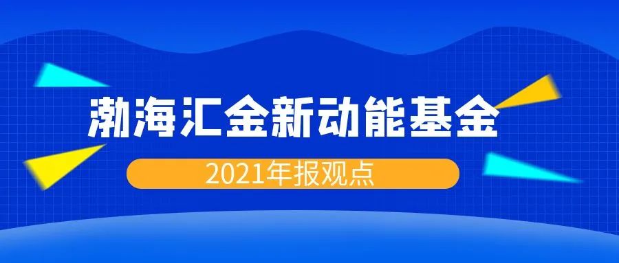 “渤海汇金新动能基金2021年报观点