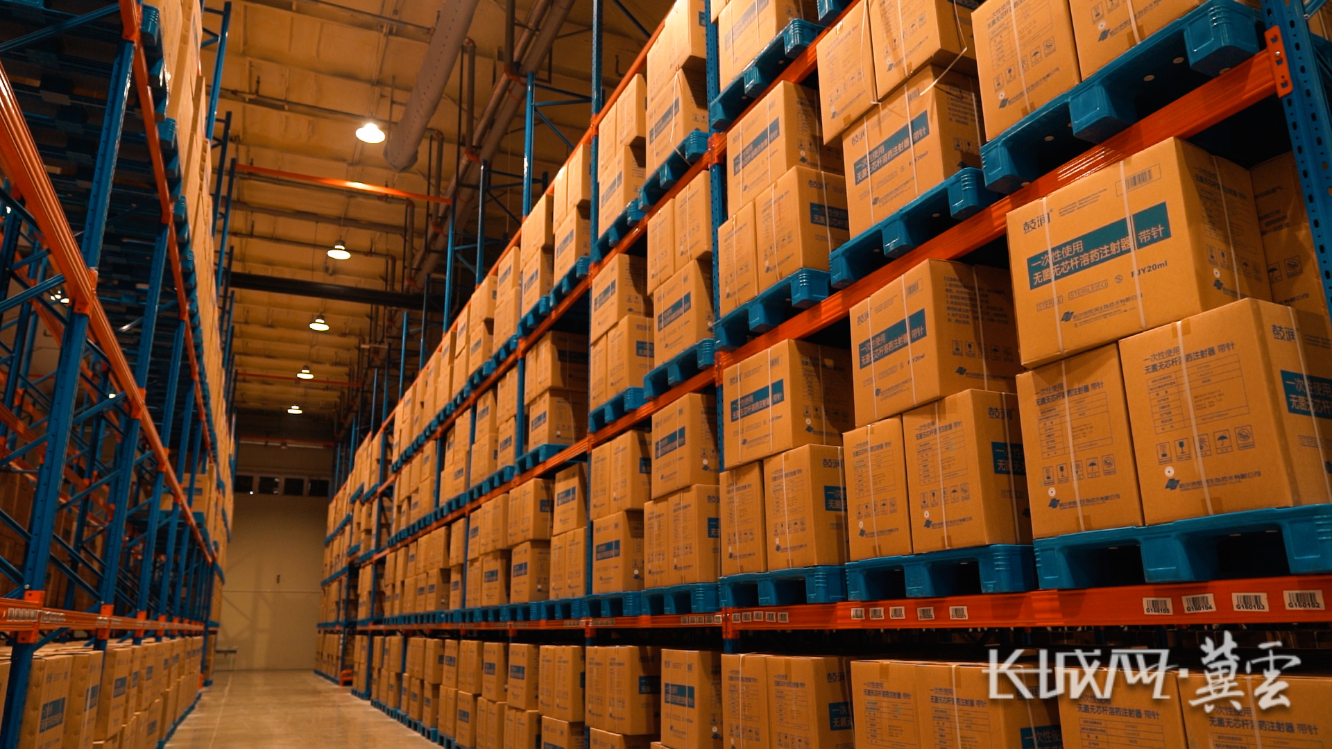 深国际·正定智慧港项目医药产业园仓储区.