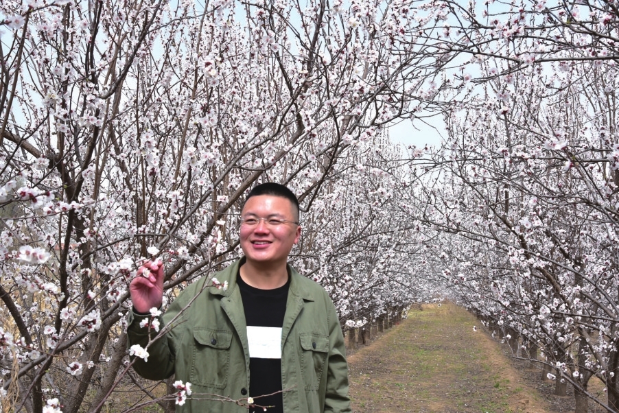 近日,依庄乡450亩杏花竞相绽放,粉嫩的花瓣形成一片花的海洋,到处洋溢