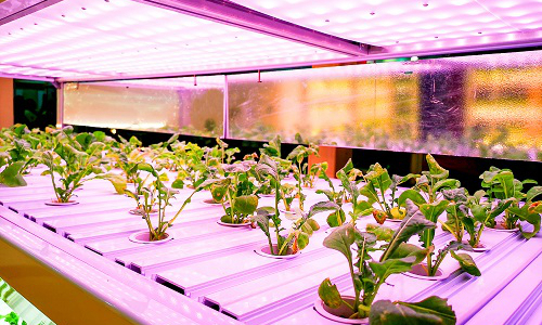 圖片來源：拍信網正版圖庫