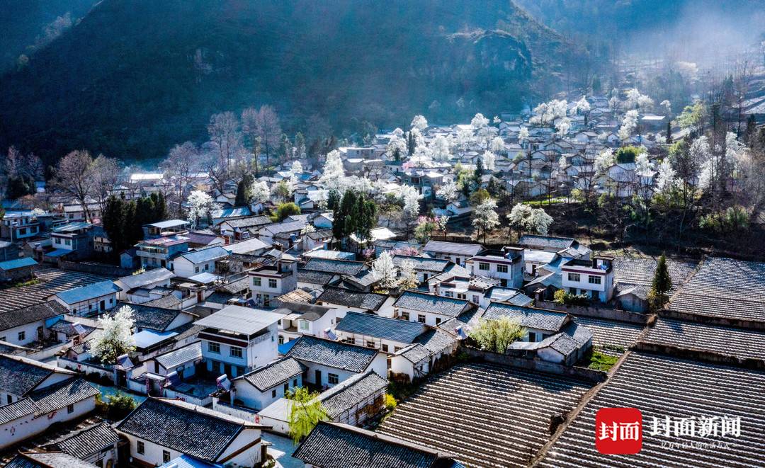 镜头下的大凉山凉山的春天