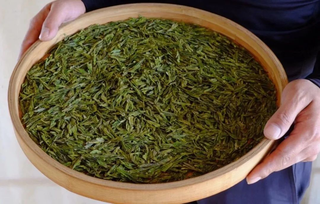 众筹丨百年老树狮峰龙井明前早春头采手工炒制好鲜啊