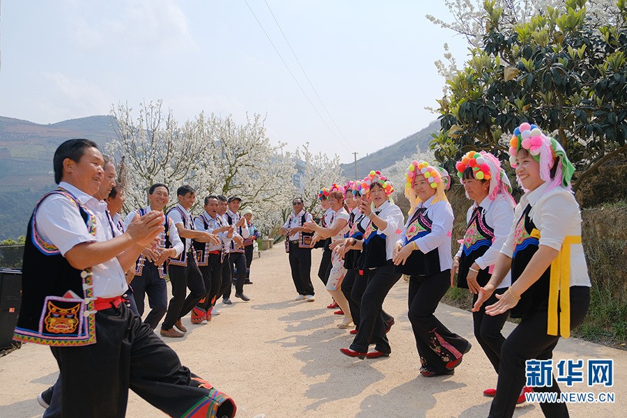 理海寨村民在花树下踏歌起舞（摄于3月20日）。新华网发（张珏 摄）