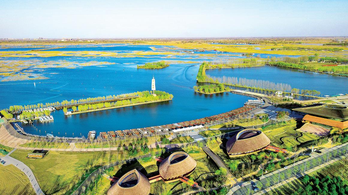 影像记录 | 春回白洋淀|白洋淀_新浪财经_新浪网