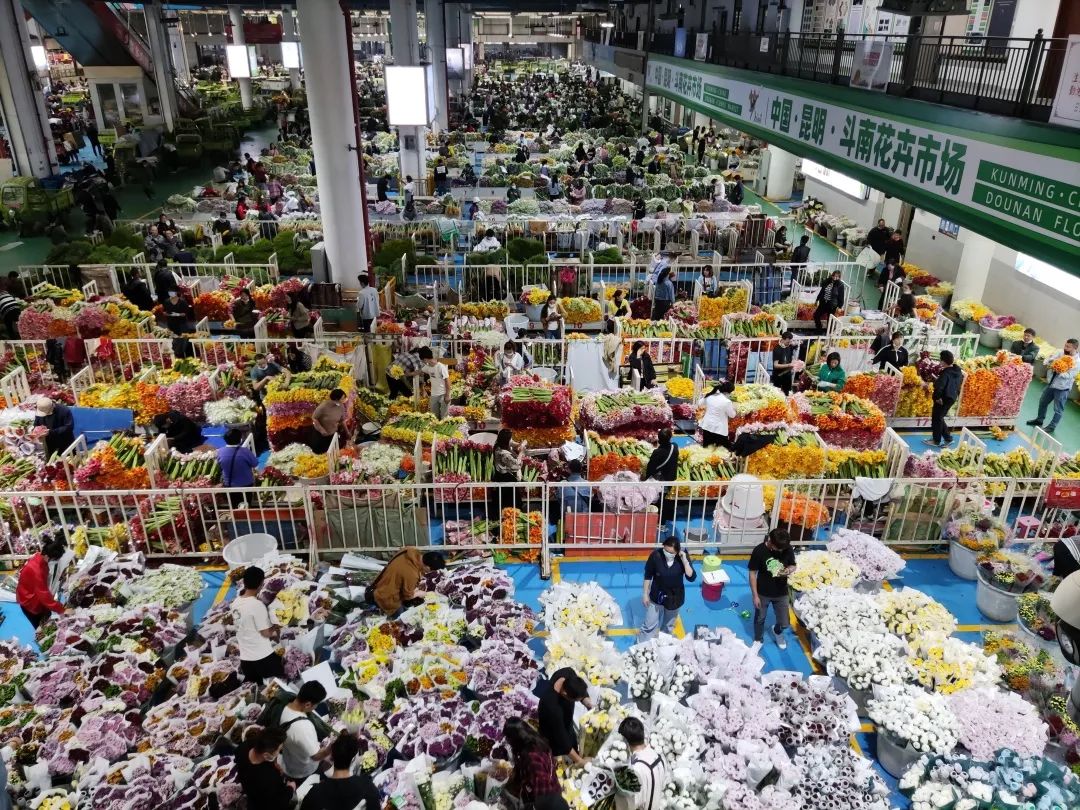 3月30日拍摄的昆明斗南花卉交易市场新华社记者 林碧锋 摄