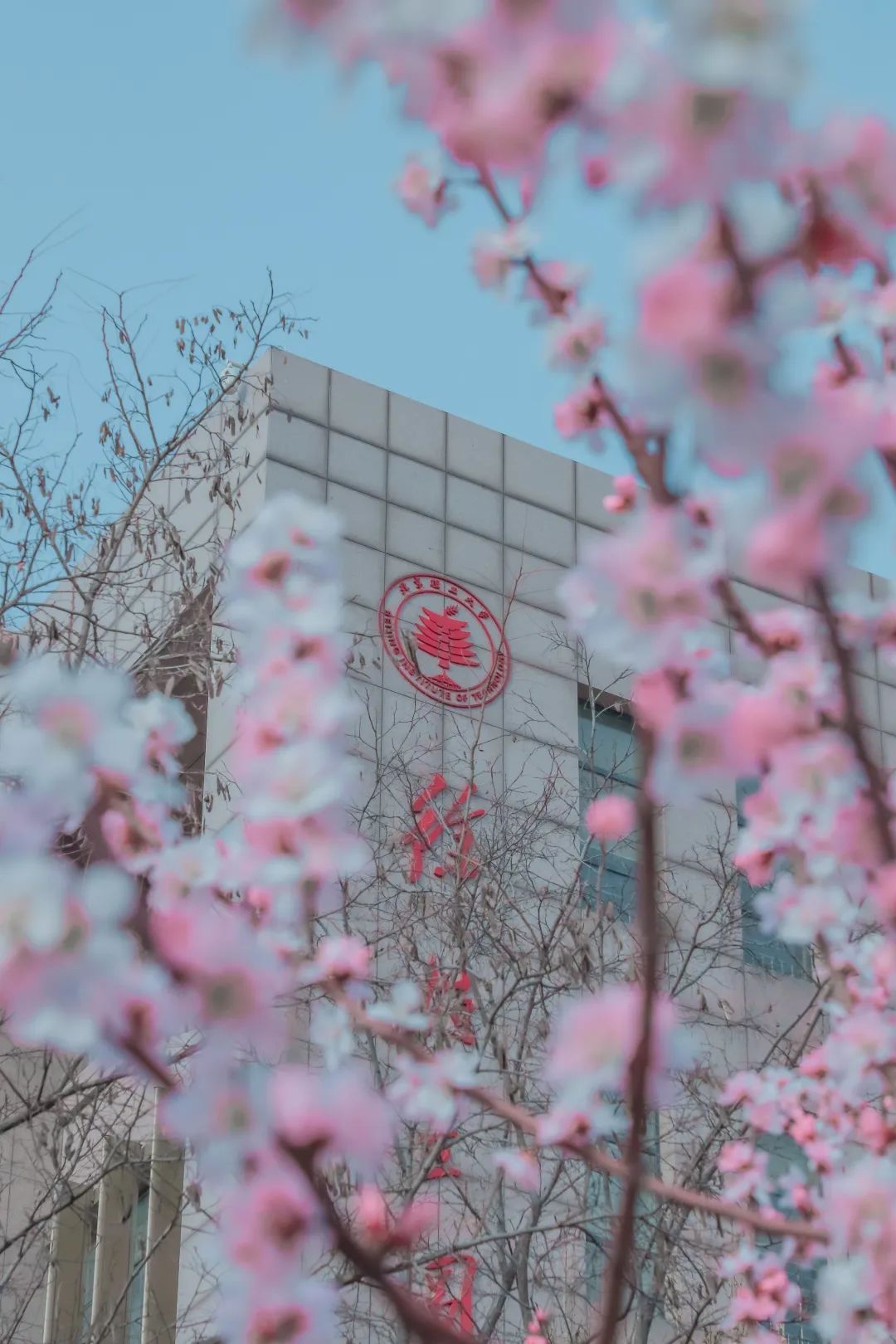 美哉春览四季北理美哉