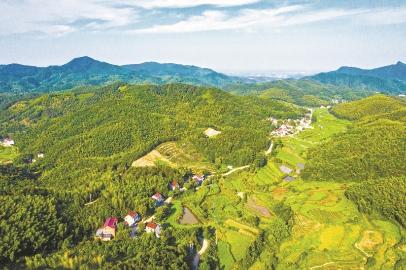 安徽省庐江县龙桥镇凌安村村貌.