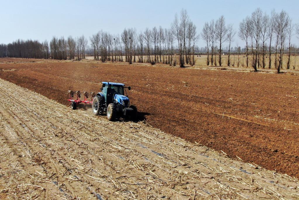 新华全媒丨良田粮用饭碗端稳内蒙古高标准农田春耕见闻