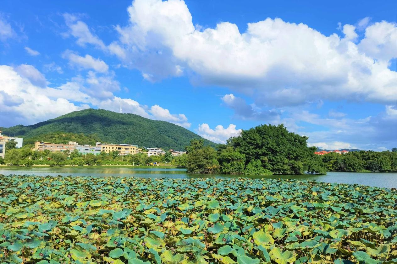 东湖公园.信息时报记者 曾文秀 摄