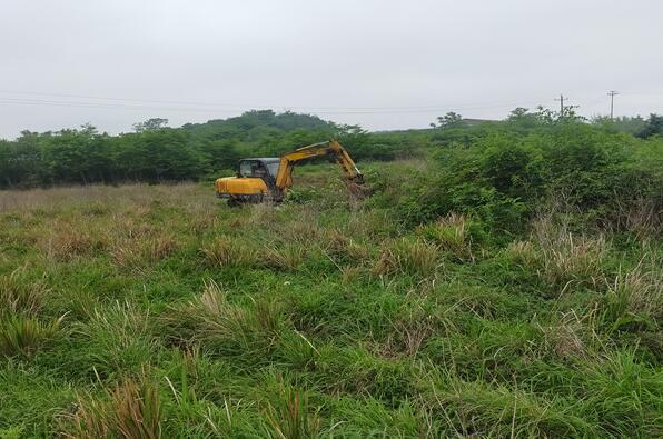 王志成在开垦荒地. 资料图