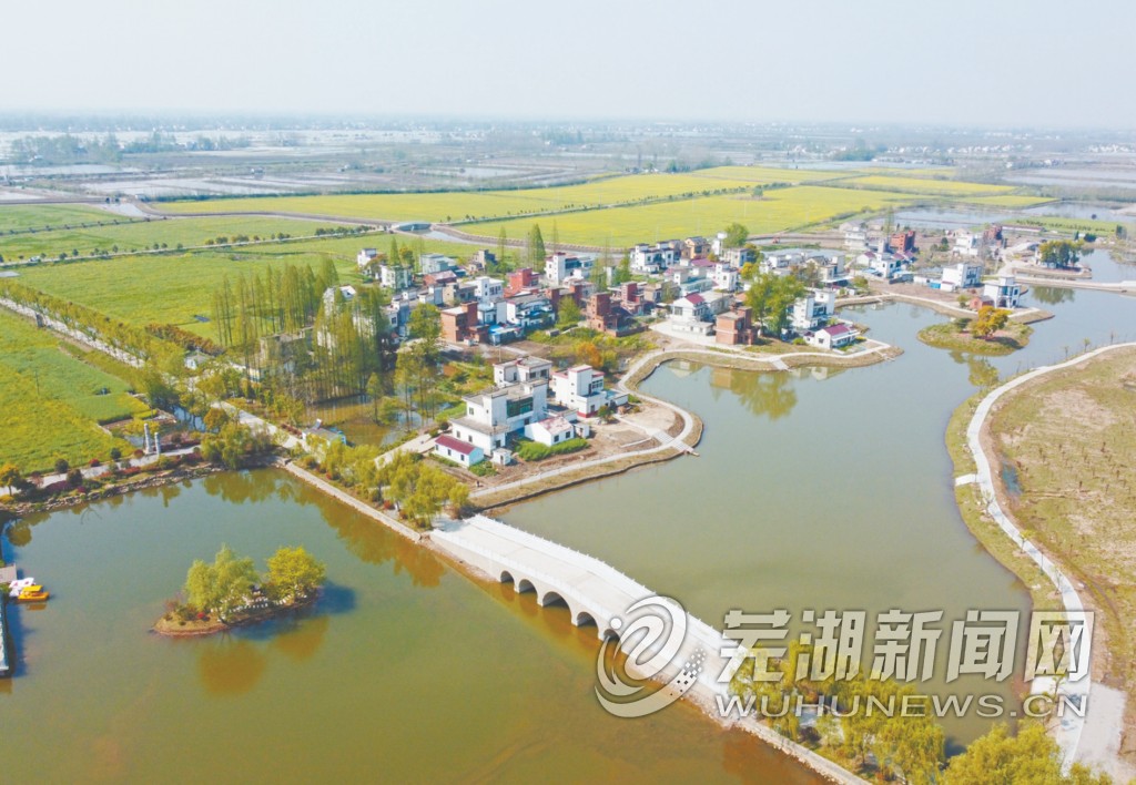 图为鸠江区白茆镇套北村乡村旅游产业初见成效.