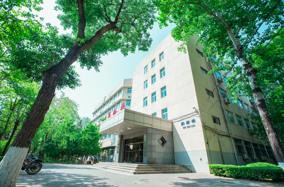 北京科技大学(北京科技大学短 租房) 北京科技大学(北京科技大学短 租房)