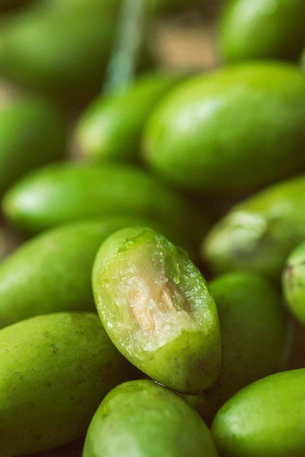 青橄榄,南方人的神秘之果.摄影 /&nbsp;朱梦菲