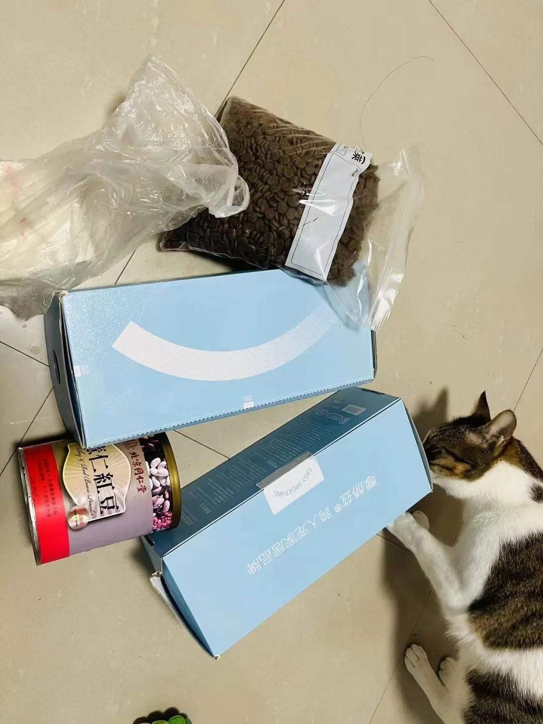 邻居送的猫砂和猫粮