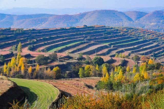 现在的西海固(摄影:季正)