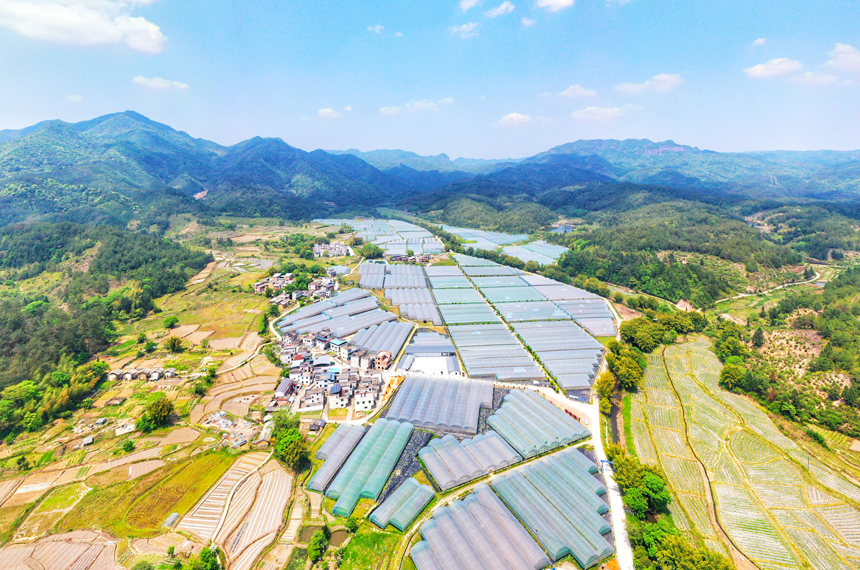 航拍全南县龙源坝镇自然之星蔬菜种植基地.尹其奇摄