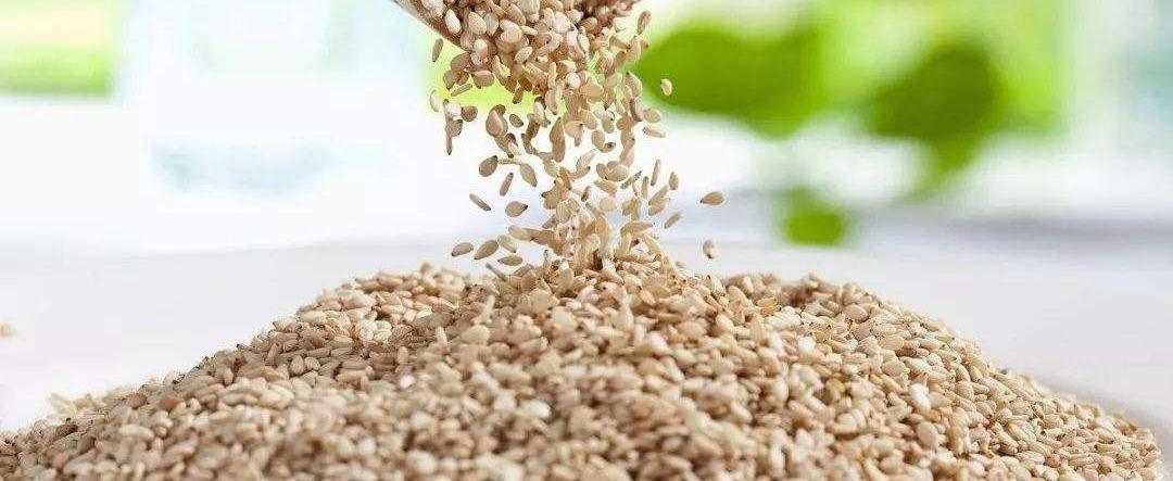 对每一粒芝麻的精挑细选是馨田火锅油碟高品质的起点