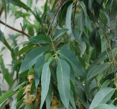 这件事,不能小觑了