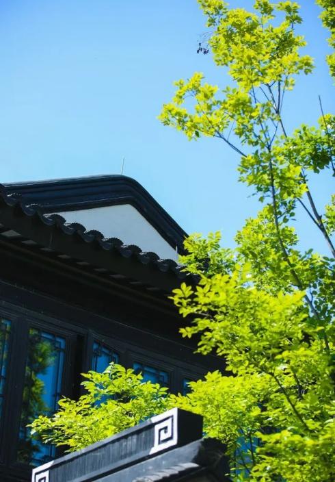 中式合院的春、夏、秋、冬