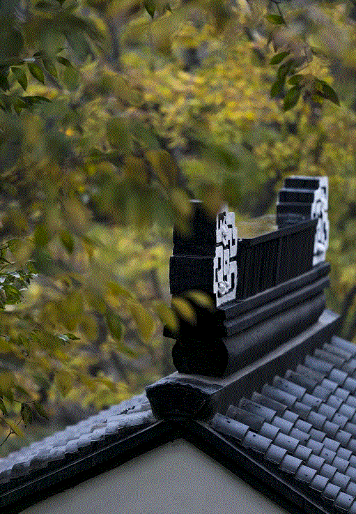 中式合院的春、夏、秋、冬