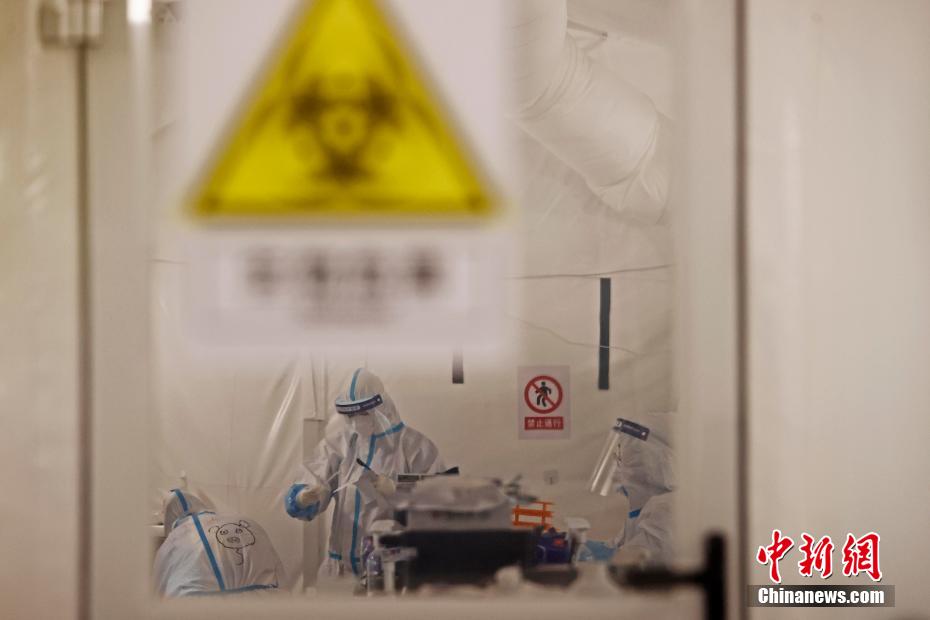 工作人员正在对核酸检测样本进行检测。 殷立勤 摄