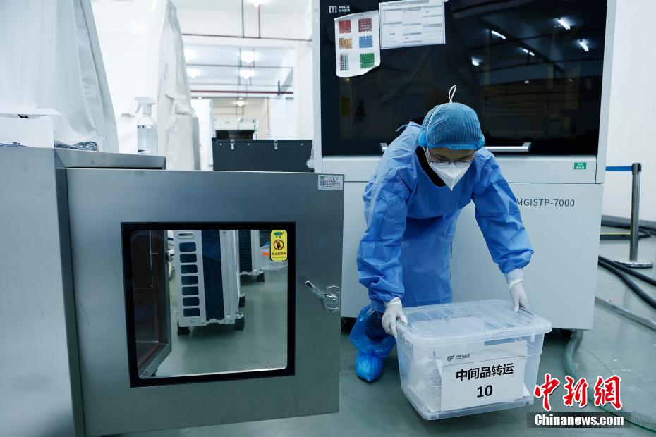 工作人员正在搬运等待检测的核酸检测样本。 殷立勤 摄