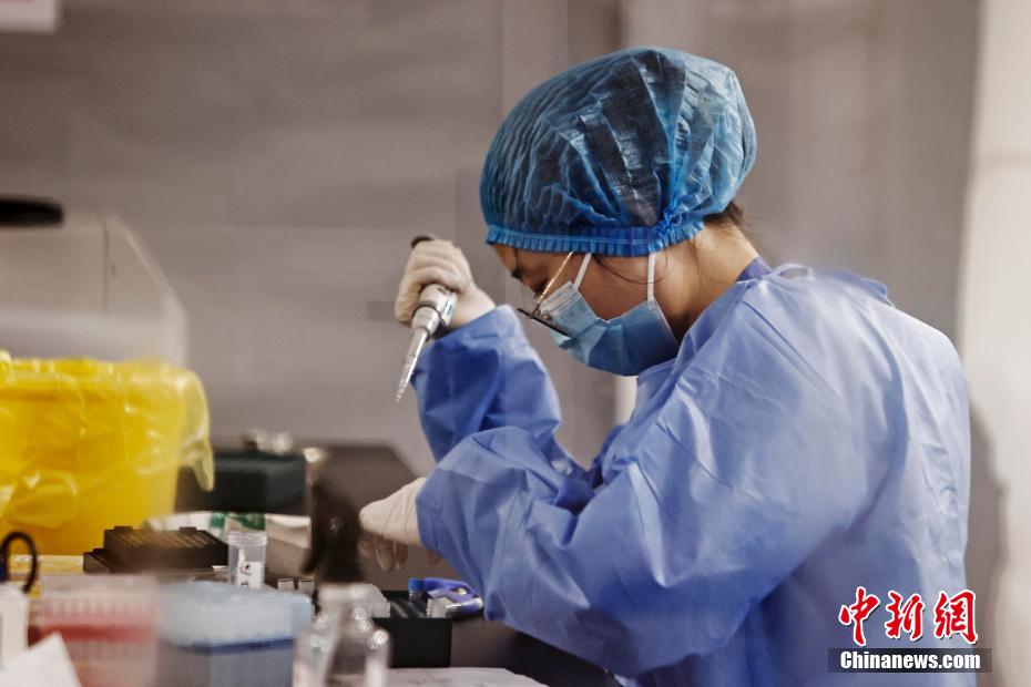 工作人员正在对核酸检测样本进行检测。 殷立勤 摄