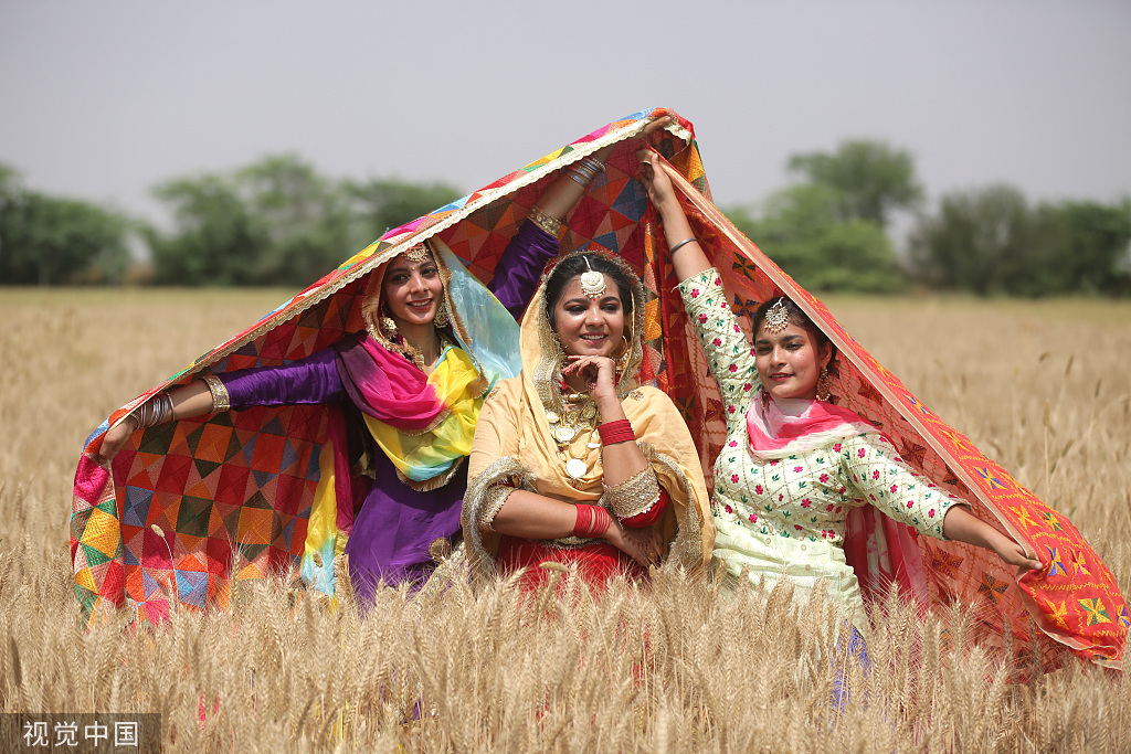 印度民众身着传统服饰田间起舞迎接丰收节